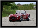 1966, Zabytkowe, Schelby Cobra 427 S/C